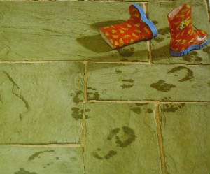 p1000807a.jpg