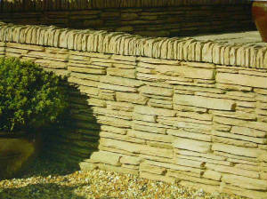p1000817b.jpg