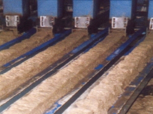image02.jpg