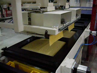 p1000451.jpg